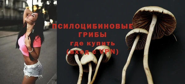 спиды Абаза